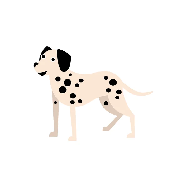 Dalmatian Dog Breed — Stock Vector