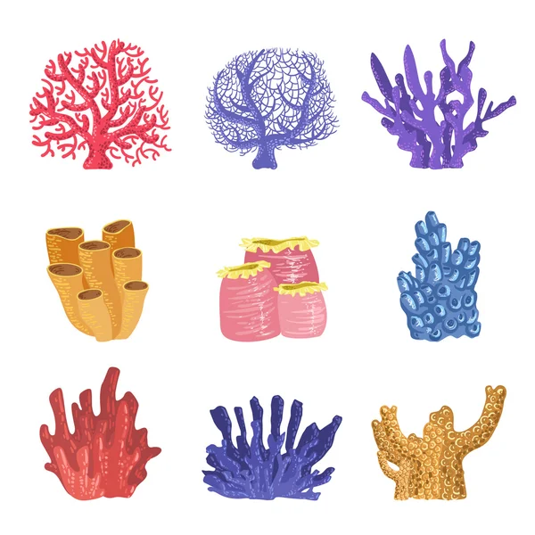 Colección de coral de arrecife tropical — Vector de stock