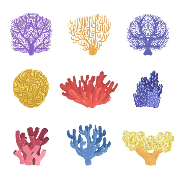 Tropical Reef Coral Set — Stock Vector