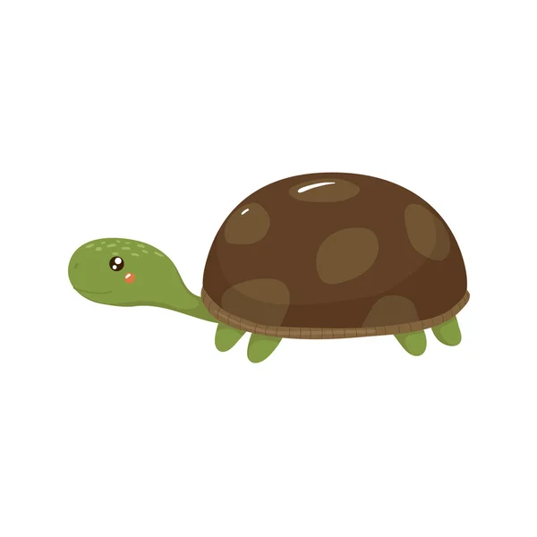 Sköldpadda realistisk barnslig illustration — Stock vektor