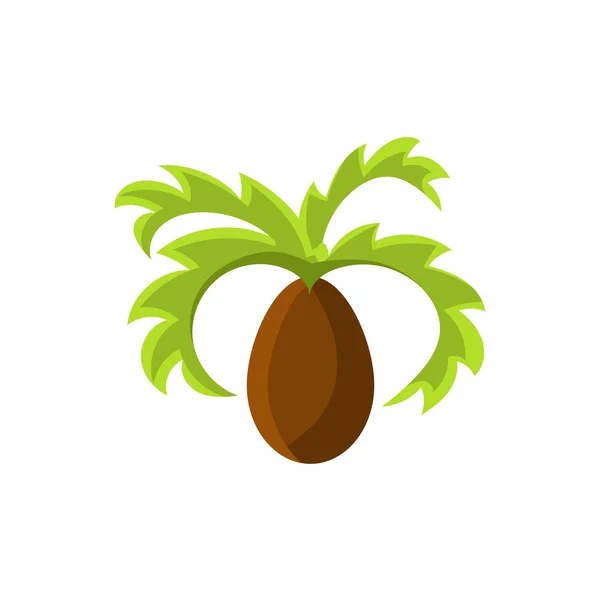 Frican Palm Tree — Stock Vector