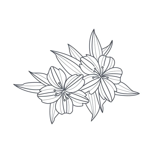 Wild Flower zwart-wit tekening voor Coloring boek — Stockvector