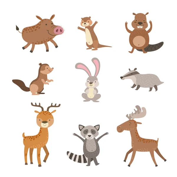 Колекція лісових тварин — стоковий вектор