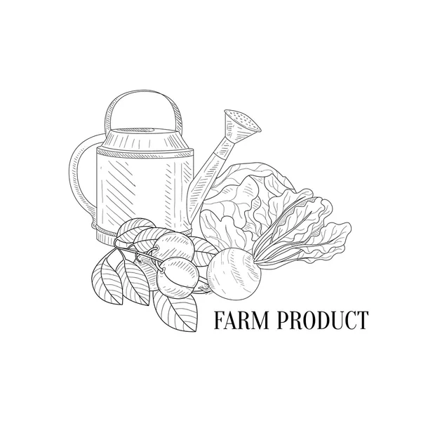 Farm Vegetables Hand Drawn Realistic Sketch — Stock Vector