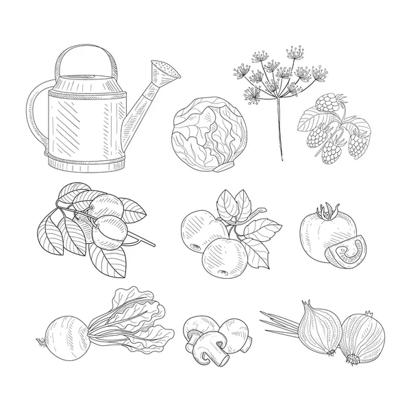 Productos agrícolas Clipart Elementos Dibujado a mano Realista Bosquejo — Vector de stock