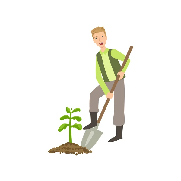 Guy Digging The Soil Around Plant — Stock Vector