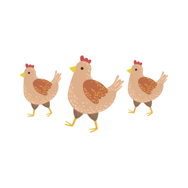 세 갈색 닭 흔들기 — 스톡 벡터