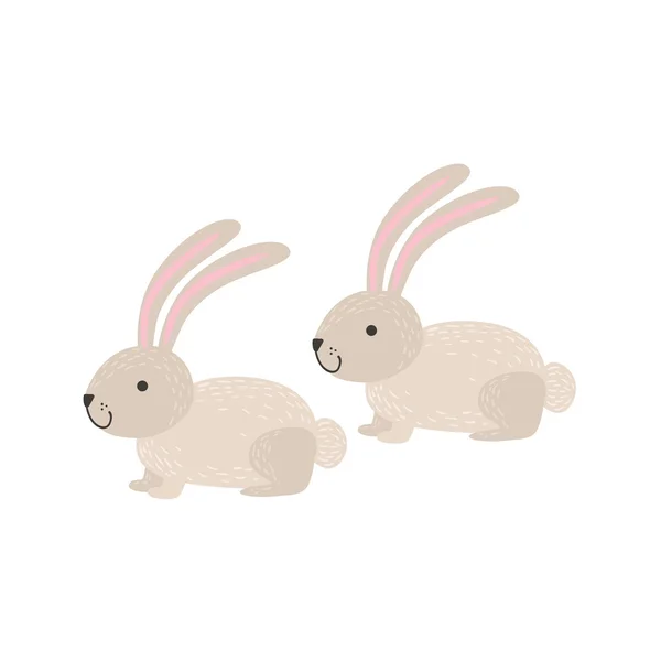 Two White Bunnies Sitting — Stock Vector