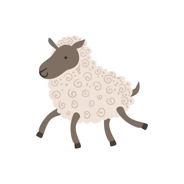 Šedá ovce s bílou vlnou chůze — Stockový vektor