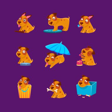 Pet Puppy Günlük Aktiviteler Koleksiyonu
