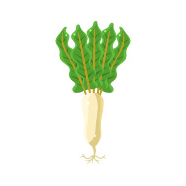 Taze Daikon İlkel Gerçekçi İllüstrasyon