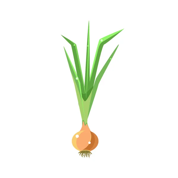 Fresh Onion Primitive Realistic Illustration — Stock Vector