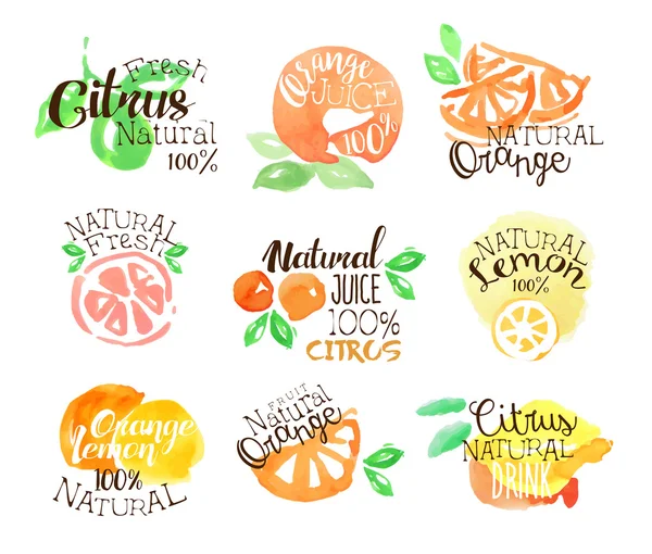 Fesh Citrus Jugo Promo Signos Colorido Conjunto — Archivo Imágenes Vectoriales