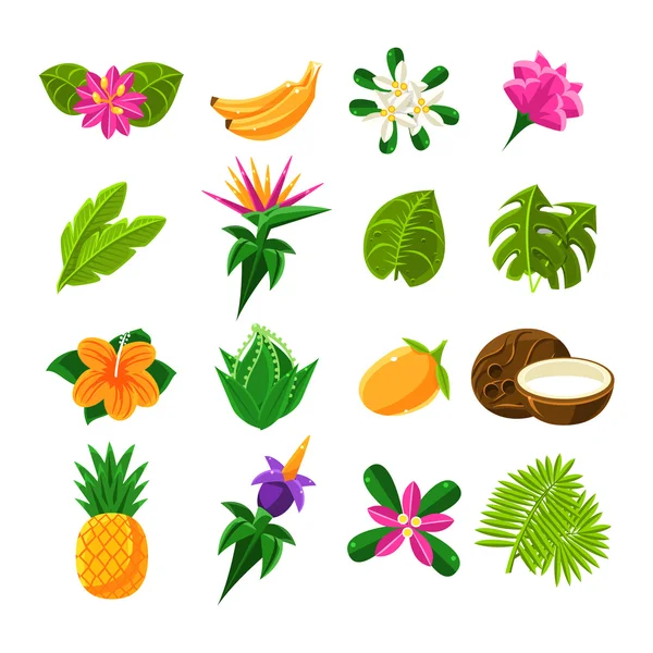 Egzotycznych owoców tropikalnych i Flora zestaw ikon — Wektor stockowy