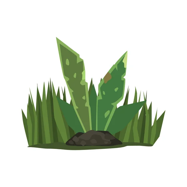 Plante tropicale avec élément de paysage de jungle de grandes feuilles — Image vectorielle
