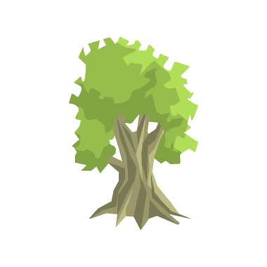 Uzun boylu ağaçlar ağaç orman manzara öğesi