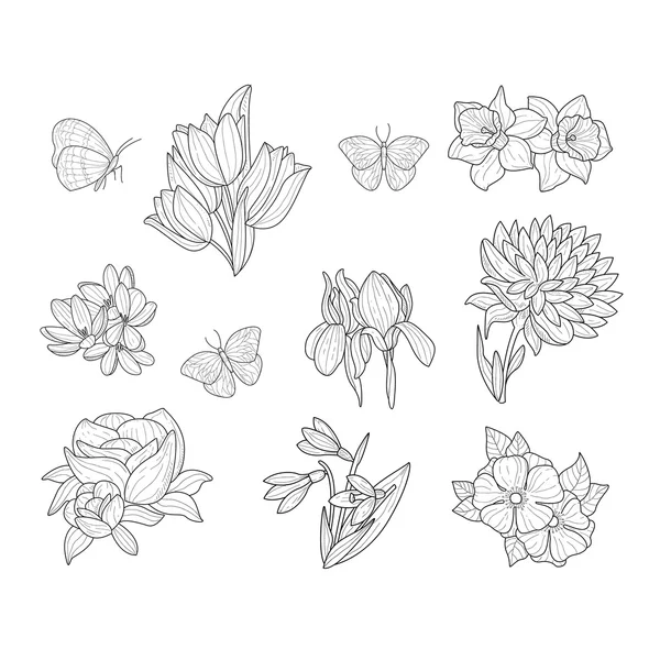Flores de primavera y mariposas aisladas dibujadas a mano bocetos realistas — Vector de stock