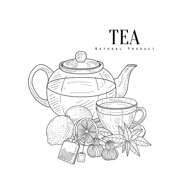 お茶とそのコンポーネント手描きリアルなスケッチ — ストックベクタ