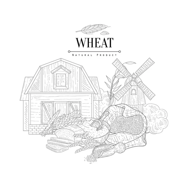 Wheat Natural Product Logo Hand Drawn Realistic Sketch — Stock Vector