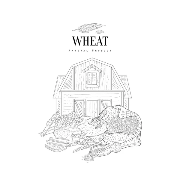 Wheat Grain, Flour And Farm Hand Drawn Realistic Sketch — Stock Vector