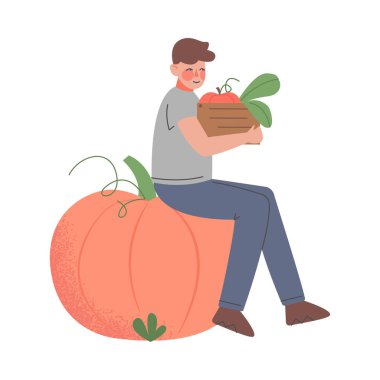 Erkek Çiftçi Bahçıvan Sebze Topluyor, Erkek Tarım İşçisi Karakteri Bahçe Çizgi Film Tarzı Vektör Resimlerinde Çalışıyor
