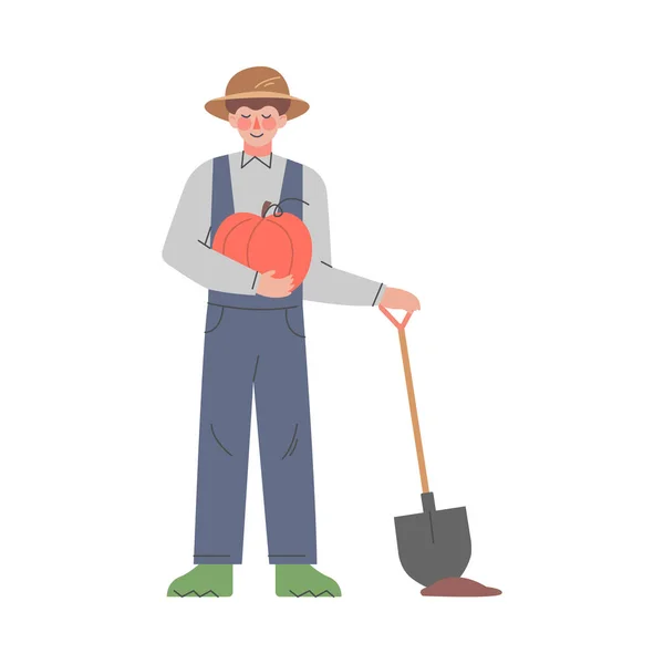 Hombre agricultor jardinero cosechando calabazas, Hombre trabajador agrícola carácter trabajando con pala en jardín o granja dibujos animados estilo vector ilustración — Vector de stock