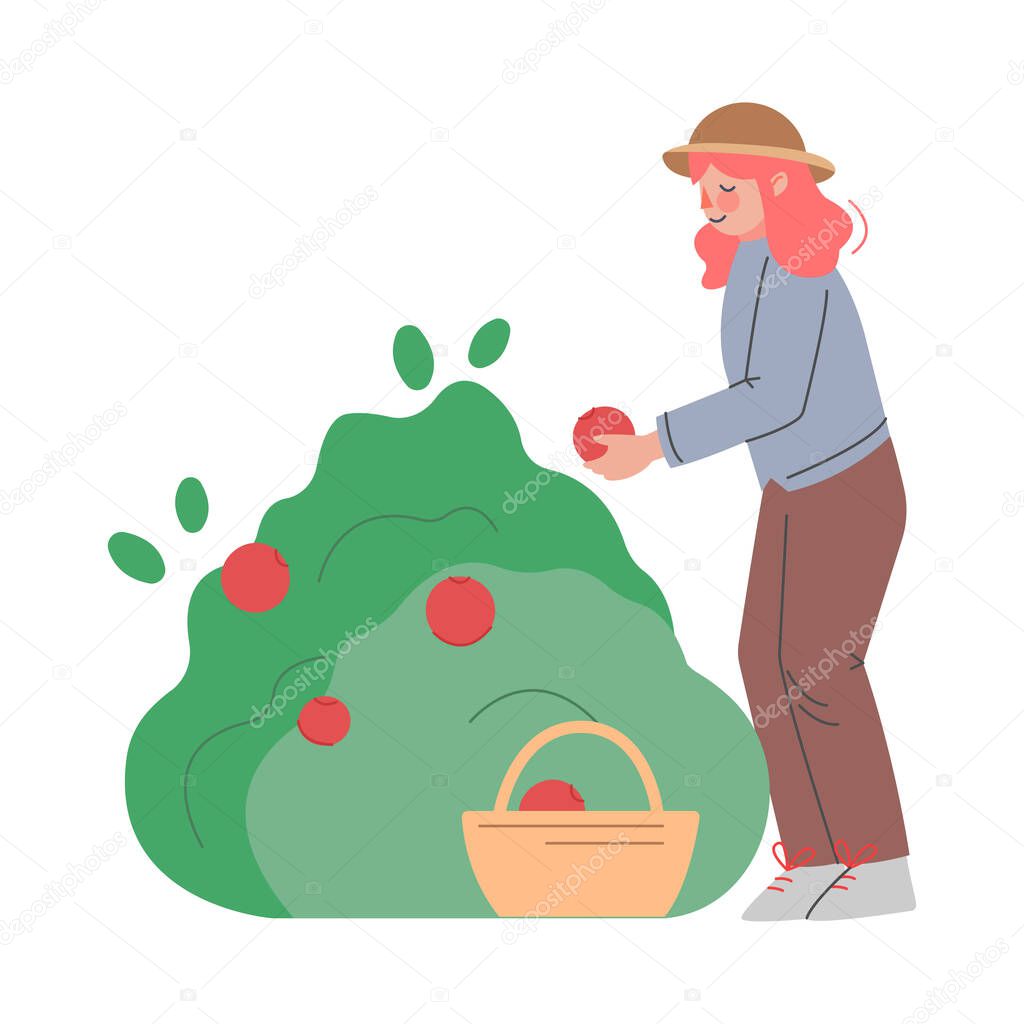 Woman Farmer Gardener Harvesting Fruits, Female Agricultural Worker Character Working in Garden or Farm, Eco Farming Concept Cartoon Style Vector Illustration