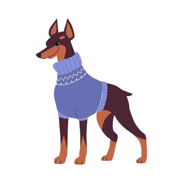 Mignon chien Doberman dans un pull d'hiver chaud, symbole de Noël et du Nouvel An, joyeux Noël Concept Cartoon Style Illustration vectorielle — Image vectorielle