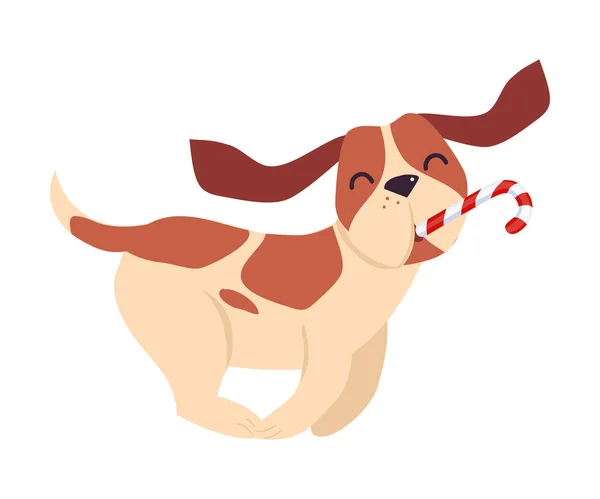 ( 영어 ) Cute Funny Beagle Dog Running with Candy Cane in its outh, Symbol of Xmas and New Year, Happy Winter Holidays Concept Cartoon Style Vector Illustration — 스톡 벡터