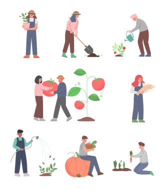 Çiftçiler Çiftlik ya da Bahçe Seti, Tarım İşçileri ya da Bahçıvanlar Sebze Yetiştirme ve Hasat, Çevre Çiftliği Çizgi Film Tarzı Vektör İlülasyonu