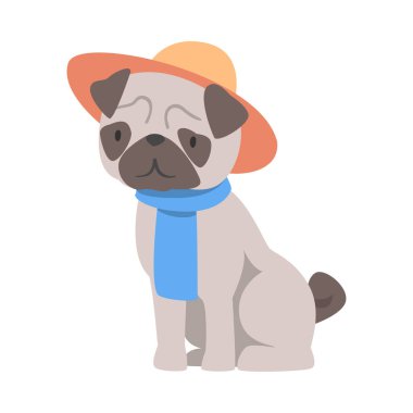 Atkı ve Şapka Giydirilmiş Şirin Pug Köpeği, Komik Hayvan Karakteri Çizgi Film Stili Vektör Çizimi