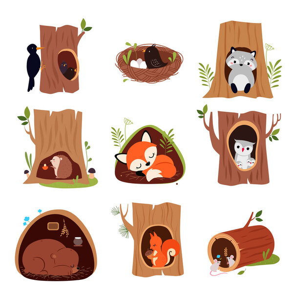 Cute Animals Sitting in Burrows and Tree Hollows Vector Set