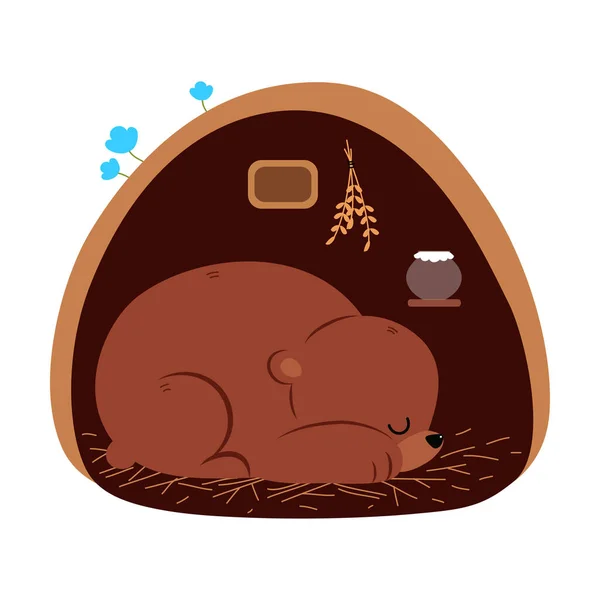 Brown Bear as Forest Animal Sleeping in Burrow Vector Illustration — Stockový vektor