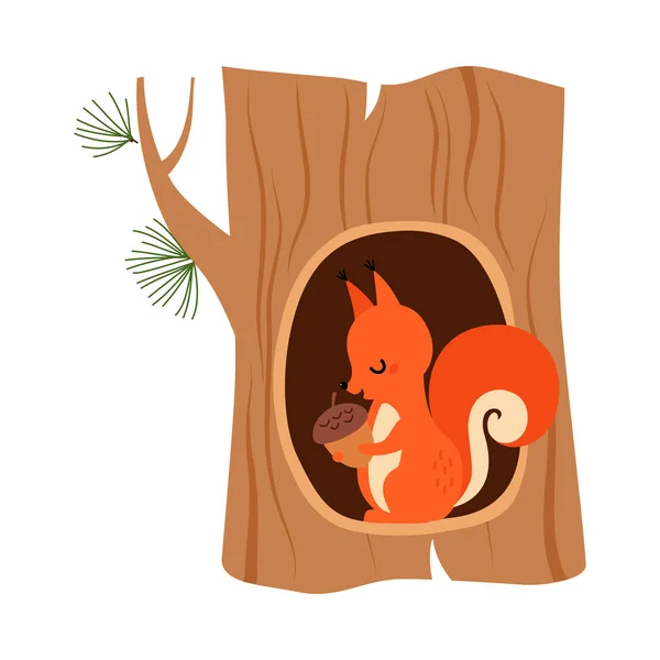 Funny Squirrel as Forest Animal Sitting in Tree Hollow with Acorn Vector Illustration — Stock Vector