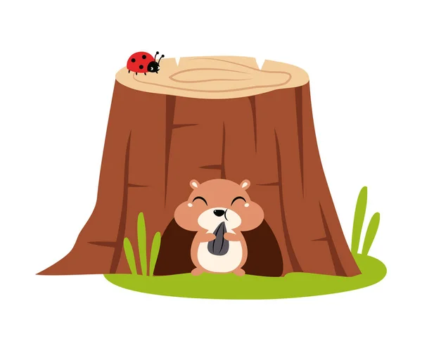 Divertente scoiattolo come animale della foresta Pepped fuori dal ceppo Hollow vettoriale illustrazione — Vettoriale Stock