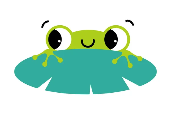 Funny Green Frog with Protruding Eyes Peeping Out from Leaf Vector Illustration — Stock Vector
