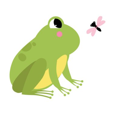 Green Frog with Protruding Eyes Watching Fly Vector Illustration vector Green Frog with Protruding Eyes Watching Fly Vector Illustration vector
