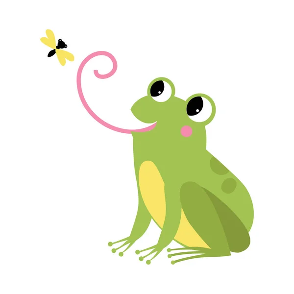 Green Frog with Protruding Eyes Catching Fly with Its Long Tongue Vector Illustration — Stock Vector
