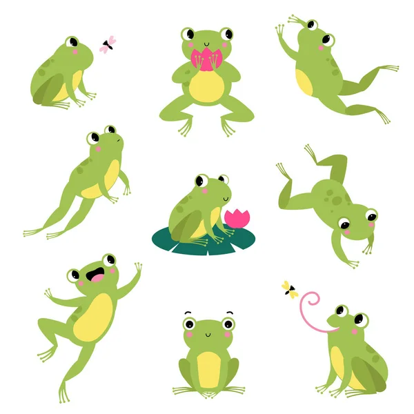 Cute Green Frog Jumping, Sitting on Leaf and Catching Fly Vector Set — Stock Vector