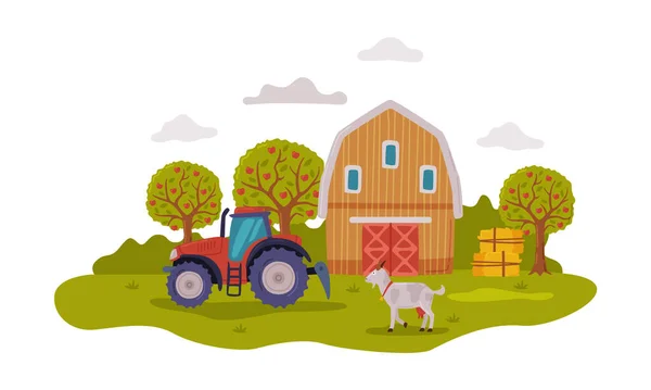 Escena de granja con granja, tractor y ganado, paisaje rural de verano, agricultura, jardinería y concepto de agricultura Dibujos animados Estilo Vector Ilustración — Archivo Imágenes Vectoriales