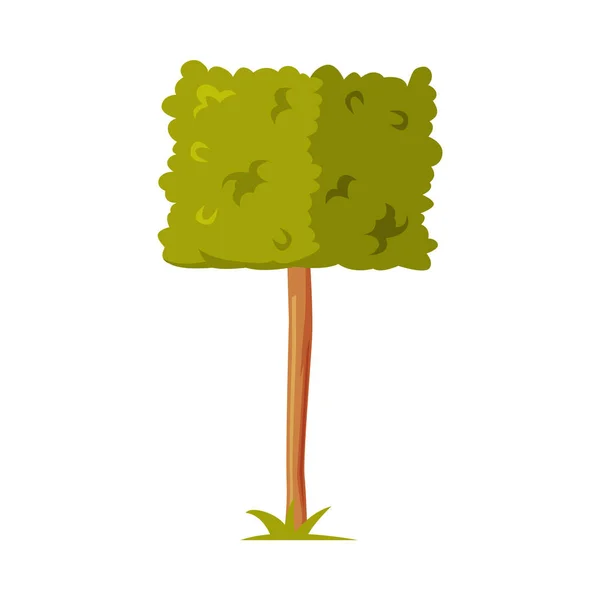 Grön Formad Bush med frodig Foliage som Park Zone Element Vector Illustration — Stock vektor