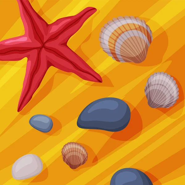 Seashell, Pebbles and Starfish Rested on Sand Above View Vector Illustration — Stock Vector