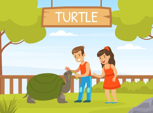 Kinderen spelen met schildpad op groen gazon, jongen en meisje interactie met dier in kinderboerderij cartoon vector illustratie — Stockvector
