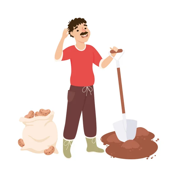 Agricoltore baffuto o lavoratore agricolo scavare patate con pala vettoriale Illustrazione — Vettoriale Stock