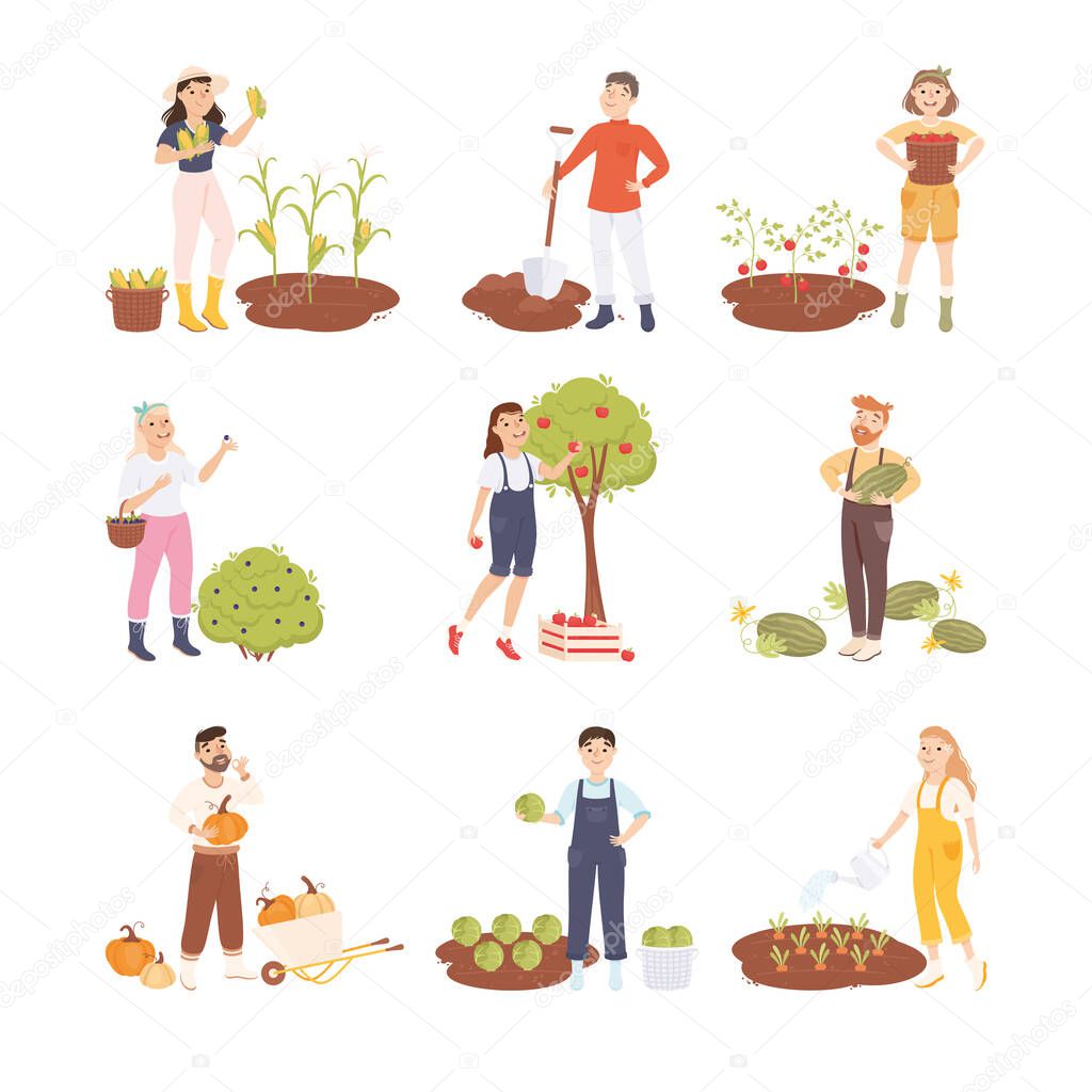 Farmers or Agricultural Workers Cultivating Plants and Gathering Crops Vector Illustration Set