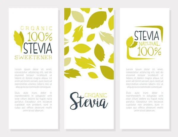 Stevia as Organic Herb and Plant Banner Vector Template — Stock Vector