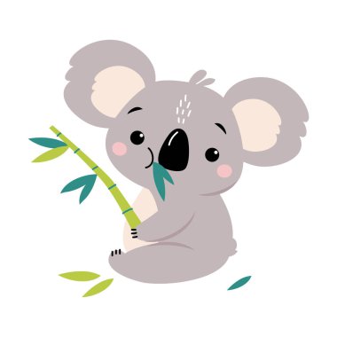 Sevimli Koala Ökaliptüs Ağacı Yaprakları, Güzel Avustralya Hayvan Çizgi Filmi Karakteri Vektör Çizimi