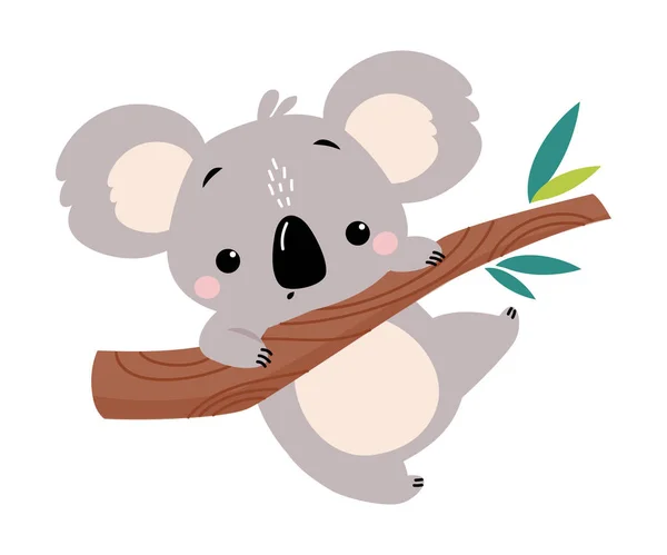 Cute Koala Climbing the Tree, Addious Australian Animal Cartoon Vector Illustration — 스톡 벡터