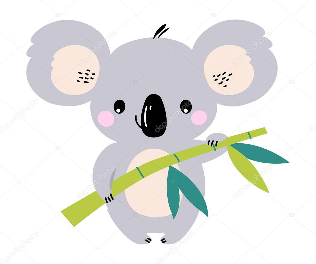 Cute Koala Holding Eucalyptus Branch, Lovely Australian Animal Cartoon Character Vector Illustration