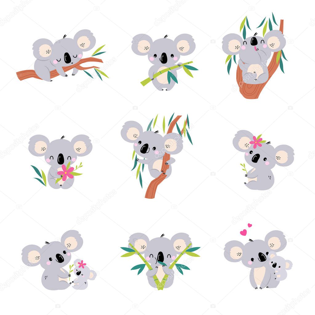 Lovely Koala in Various Actions Set, Cute Grey Australian Animals Cartoon Characters Vector Illustration